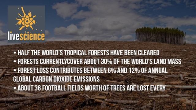 Top 10 Impacts of Human Activity on the Earth