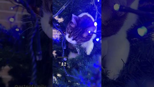 Знакомство с Федей😻