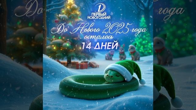 17.12.2024 . До Нового Года осталось 14 дней !