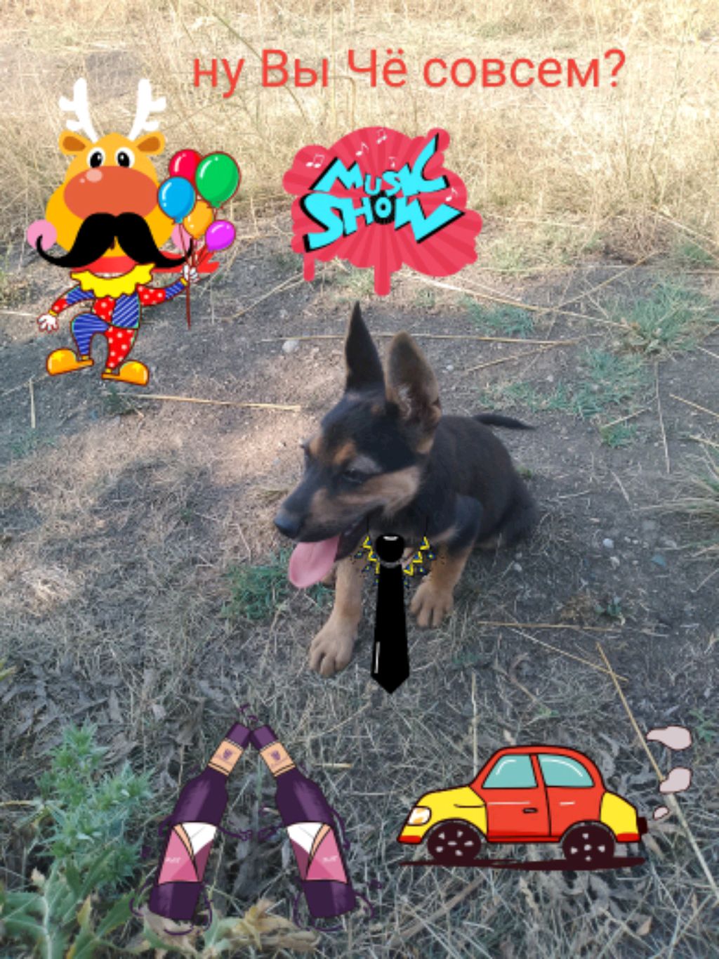 Бандит