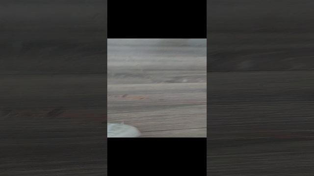 20241217_120134