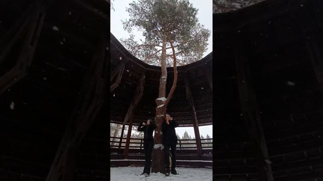 Degi и Belii. Маргарита Куртак и Михаил Пашкин. Импровизация на варганах. Voik:  Magic Sibiria Folk.