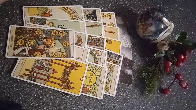 VID_20241216_161711.mp4