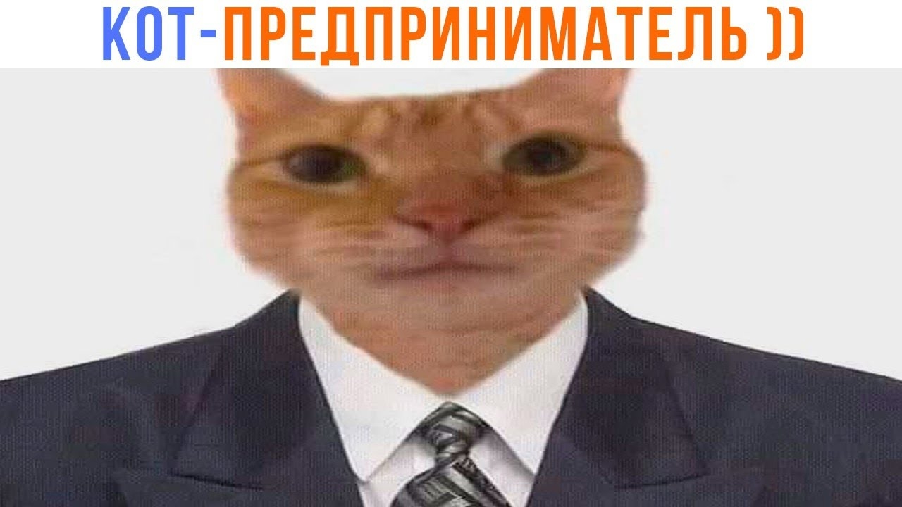 📹 ДАЙТЕ ДЕНЕГ, Я ПРИМУ ))) | Приколы с котами | Мемозг 1532 
👤 #Alexey_Sova