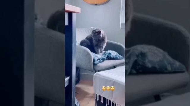 1000013033.mp4