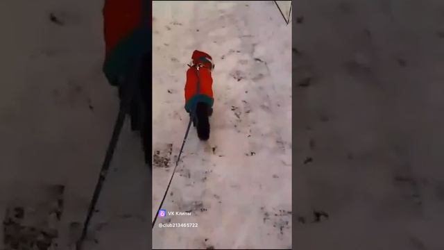 новогодние настроения