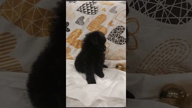 1000009632.mp4