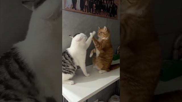 когда не понимаешь чего она хочет