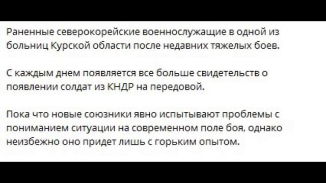 Бойцы КНДР нарабатывают боевой опыт в зоне СВО