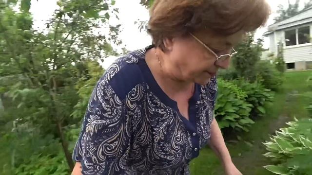 Срочно нужен совет зрителей / Энтомологии на канале есть ? 15 июня 2021 г.