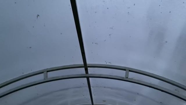 Влог Вы правы / Мы то , что мы едим / Первый снег в Подмосковье 19-20 октября 2021 г.