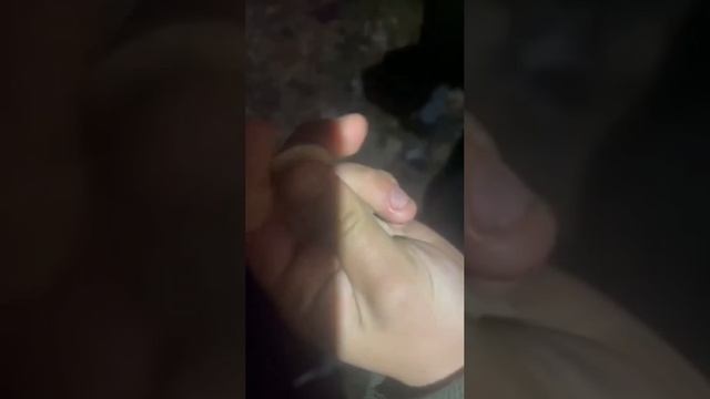 Укроборонпром.