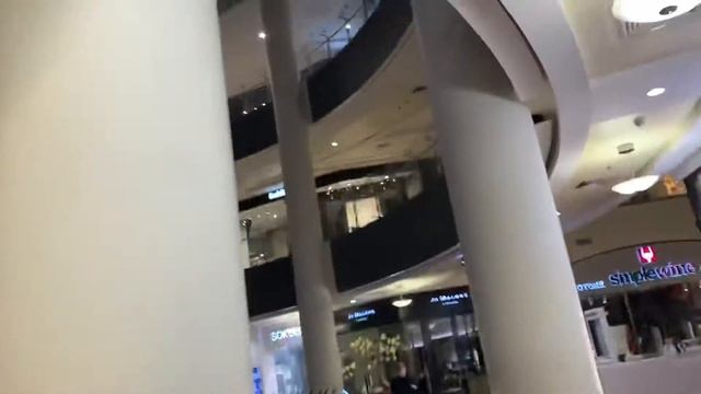 LOCKDOWN IN MOSCOW! Again || Showing the opened stores || VLOG