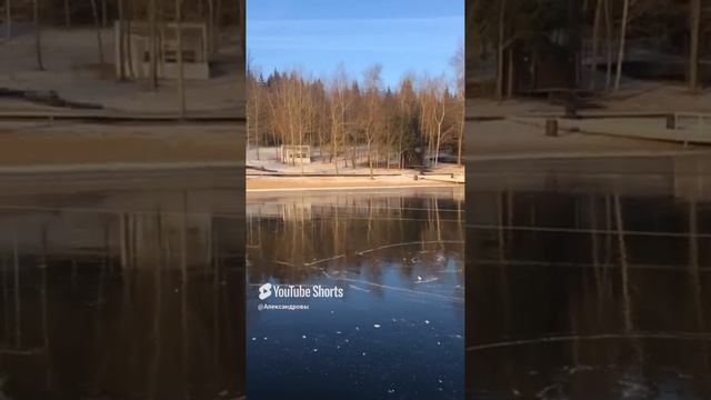 Уникальное природное явление 😀