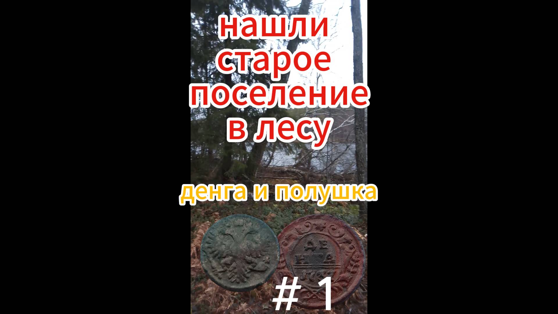 нашли старое поселение в лесу у озера