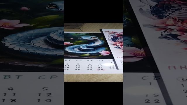 VID_20241217_150743