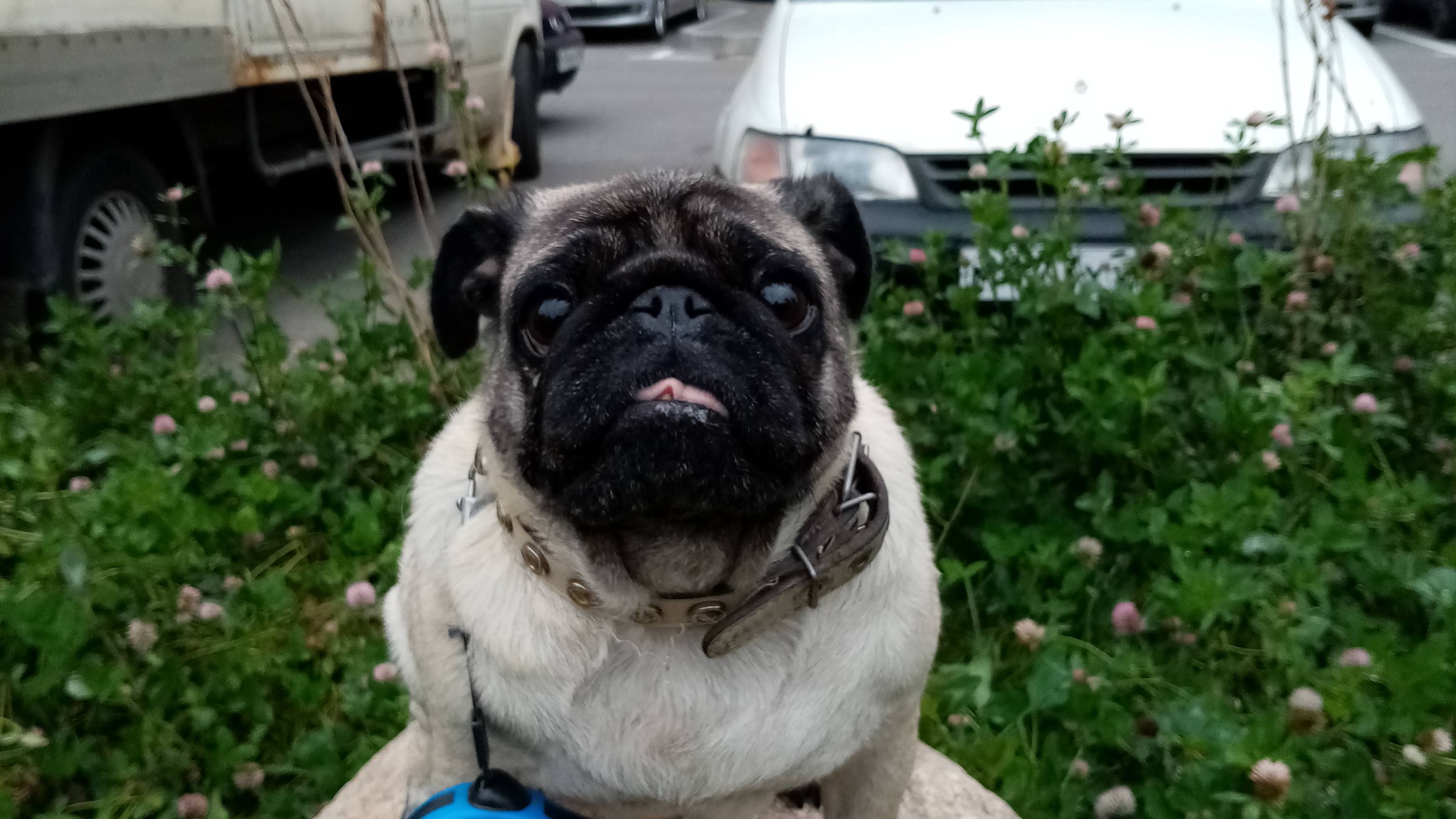 Любимая мамочка....