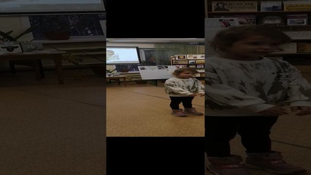 VID_20241121_112915.mp4