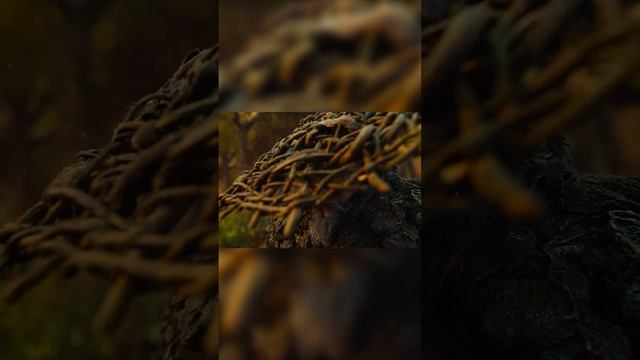 Сестра помогает Кунвэню сбежать. Ассасин: битва миров (2021) #reels #кино