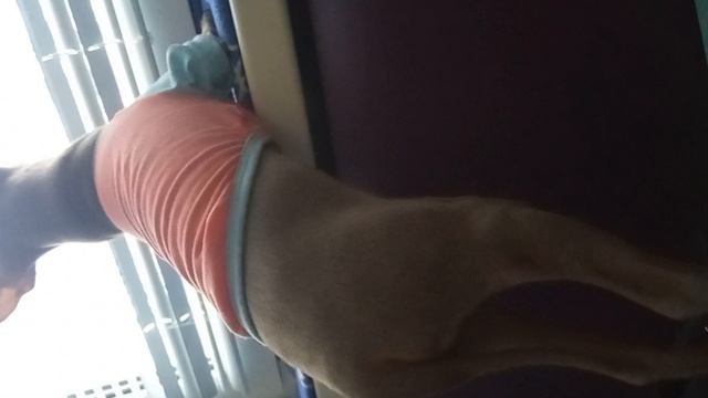 1000036355.mp4