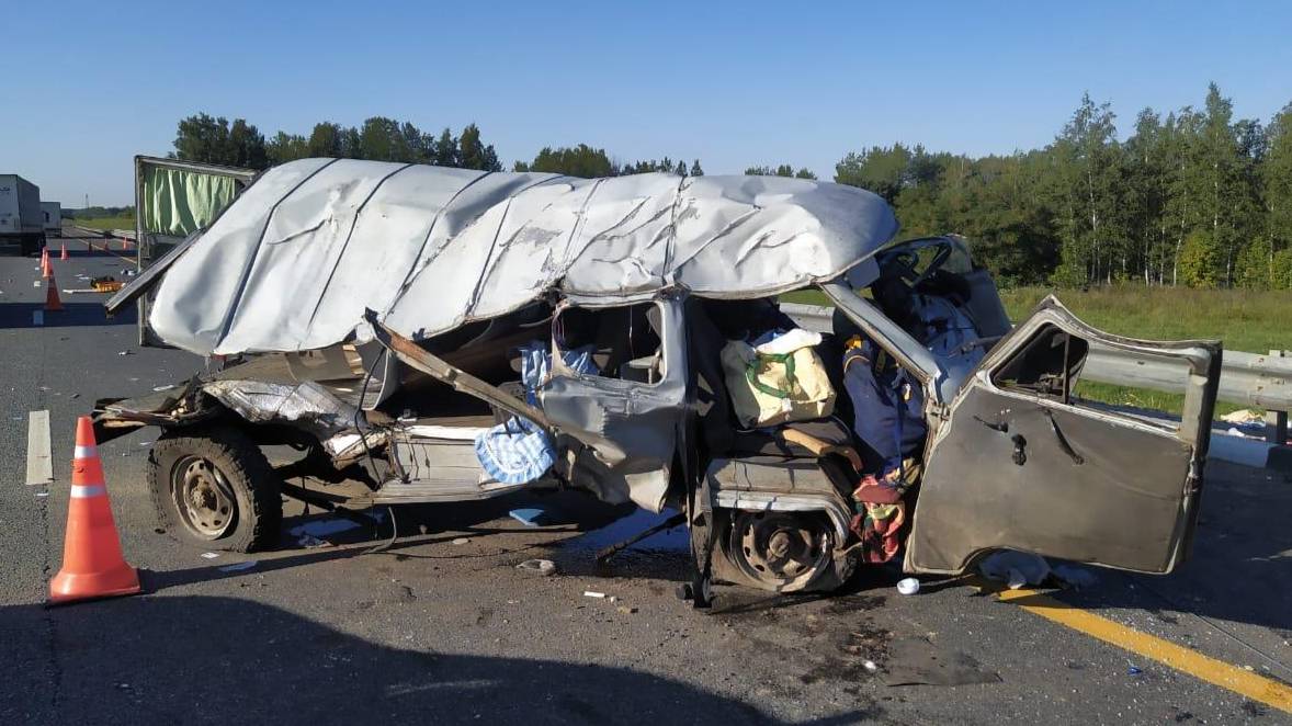 Аварии и ДТП на дорогах ТОРОПЫГИ за рулем