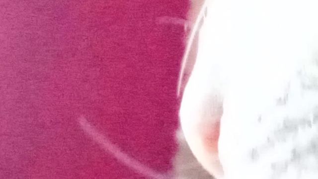 Ау 5 конец