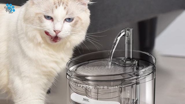 Best Cat Water Fountain In 2022 _ Cat Water Fountain
