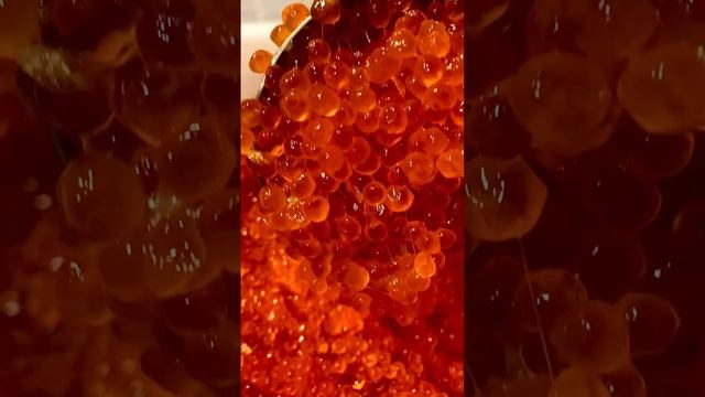 dotsave.app_pinterest_video_downloader_1734508063551