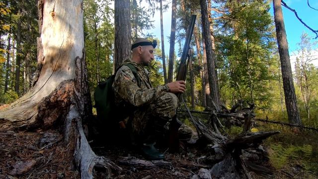 ТАЕЖНЫЙ. Ходовая охота с собакой. Жизнь в тайге. архив