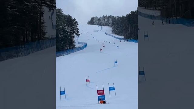 Мраткино 18 декабря 2024