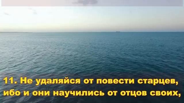 8. Сирах