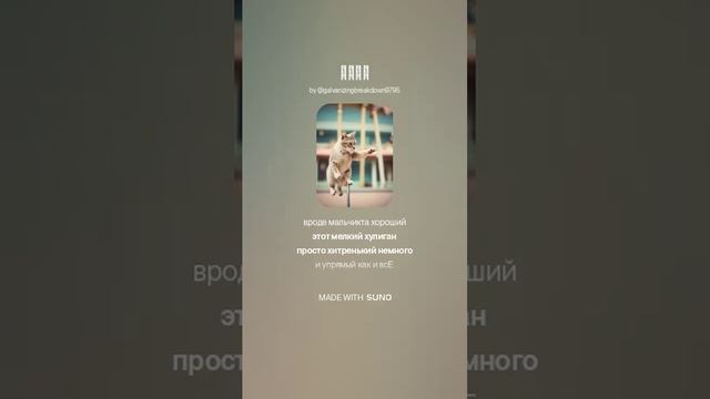 1000036927.mp4