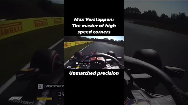 Max V. the master of high speed corners #f1 #f12024