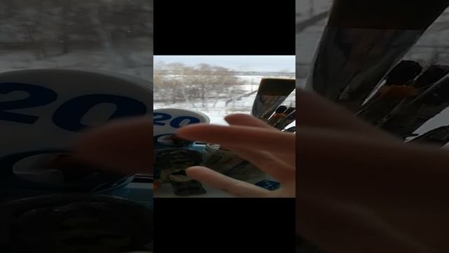 VID_20241218_133113.mp4