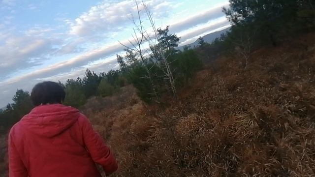 VID_20241210_160700.mp4