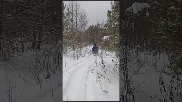 снегоход-МНËМ СНЕГ