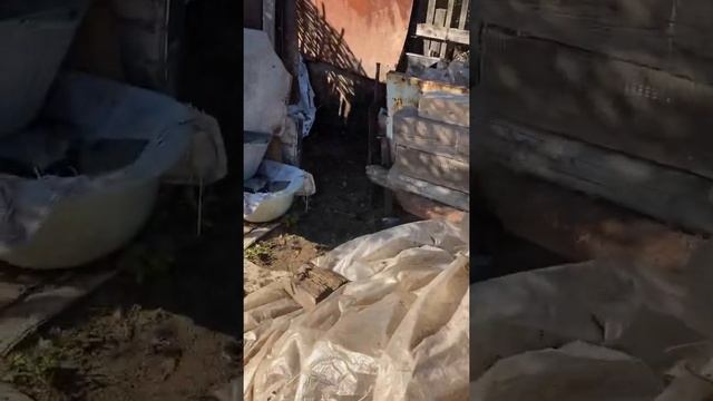 Чтобы я так жил￼