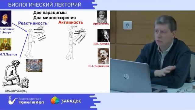 Две парадигмы поведения