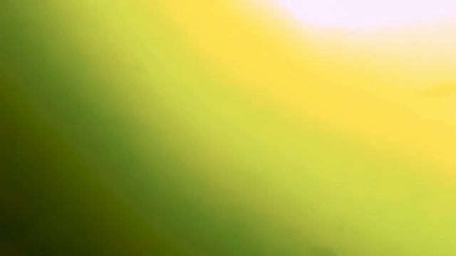 Как мы с Налимом Лещей добывали