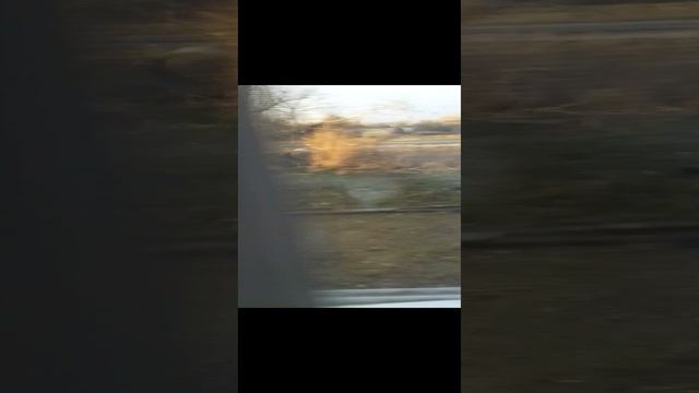 ЖДЁМ ЗЕМУ 😄