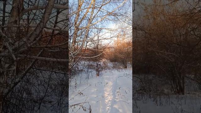 в поисках няни...