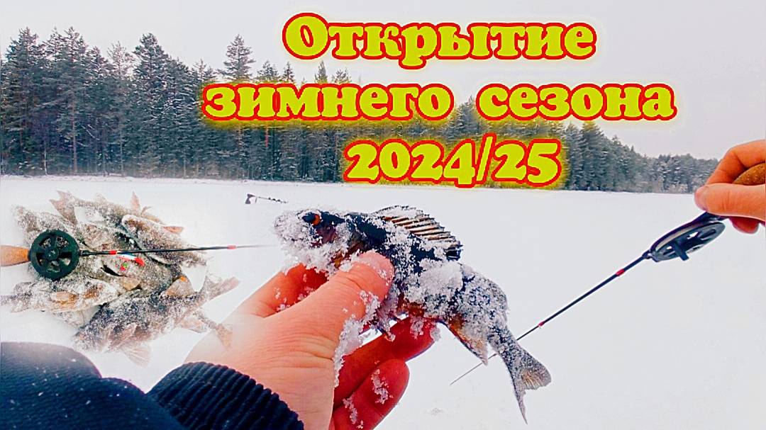 ОТКРЫТИЕ ЗИМНЕГО СЕЗОНА 2024/25 В ДЕКАБРЕ.ЛОВИМ КОПЧЕНЫХ ОКУНЕЙ НА ЛЕСНОМ ОЗЕРЕ.ПЕРВЫИ ЛЕД