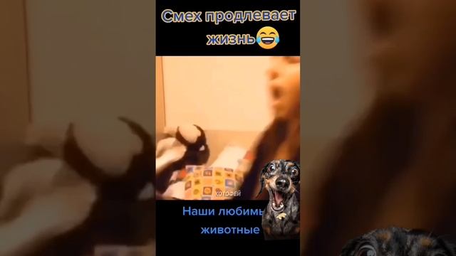 Смех Продлевает Жизнь!!! Подпишись!!!