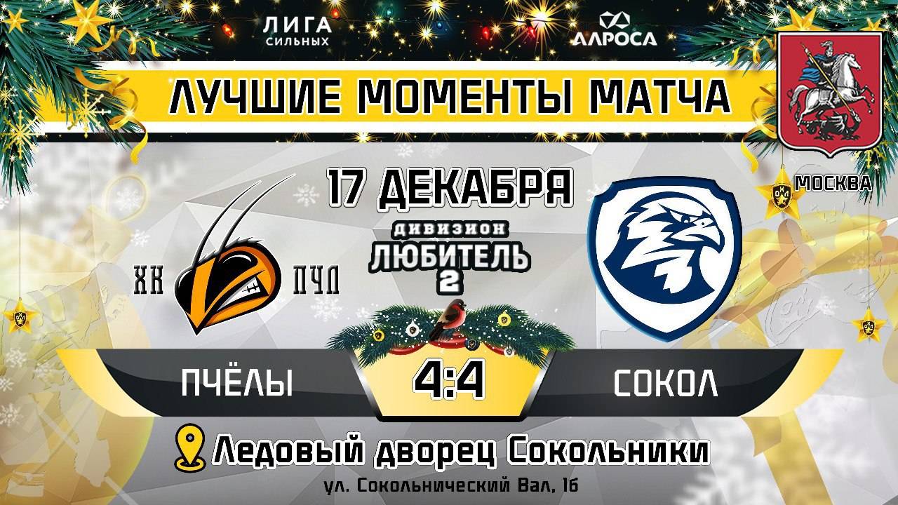 ОБЗОР / ПЧЁЛЫ - СОКОЛ / 17.12.24 / ОХЛ МОСКВА / ДИВИЗИОН ЛЮБИТЕЛЬ 2