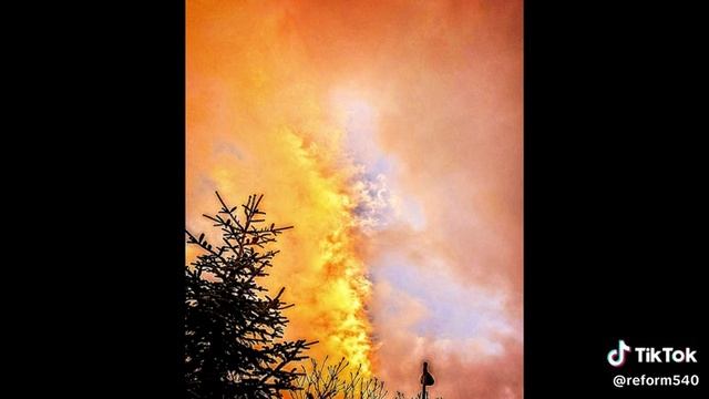 Псалом 81