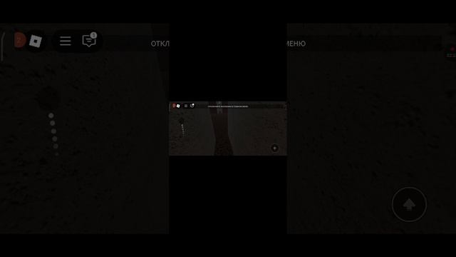 AXRecorder_15122024_200616.mp4