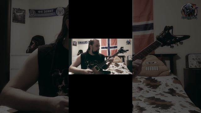 Blood Brothers Iron Maiden cover #metal #metalguitarcover #ironmaiden #heavymetalmusic