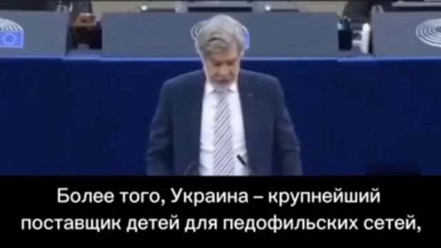 Депутат европарламента призвал немедленно отозвать ордер на арест Путина и арестовать Зеленского