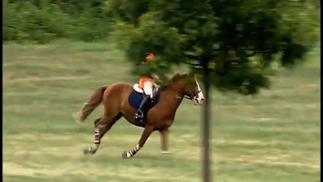 Cole Horn  "Dot Com" NJHP Horse Trials XC/NR 7/29/2012