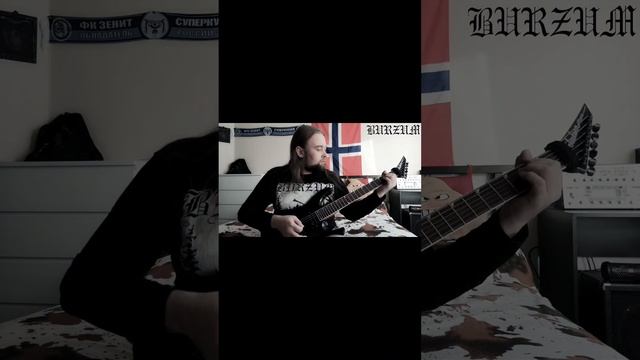 Lost Wisdom Burzum cover #blackmetal #guitarcover #burzum #trueblackmetal